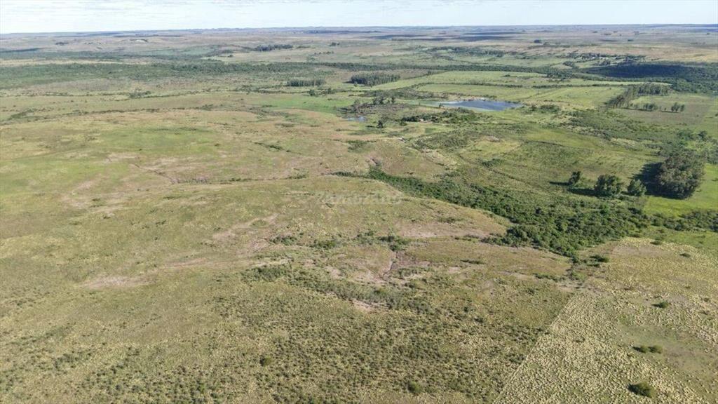 Campo Ganadero en Artigas