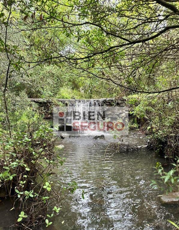 Hermosa chacra con construcciones, monte nativo y cascada,