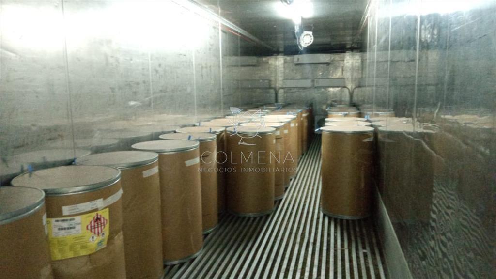 Excelente OPORTUNIDAD de inversión Campo 6,7Has