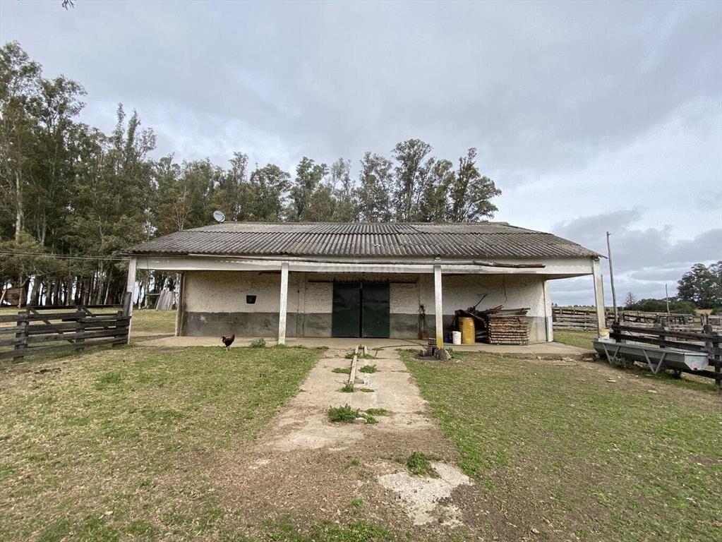 Campo Ganadero I Maldonado I 313 has