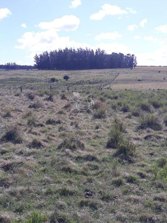 Campo 18 has en las Cañas - Consulte!!!!!!