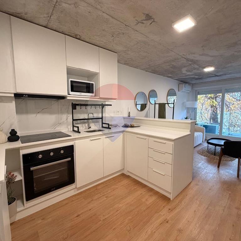 VENTA DEPTO CENTRO 1 DORMITORIO C PARRILLERO