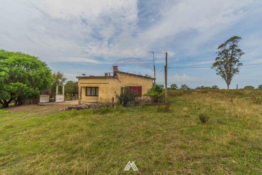Venta de campo 12Ha. con casa en Ruta 80 Migues