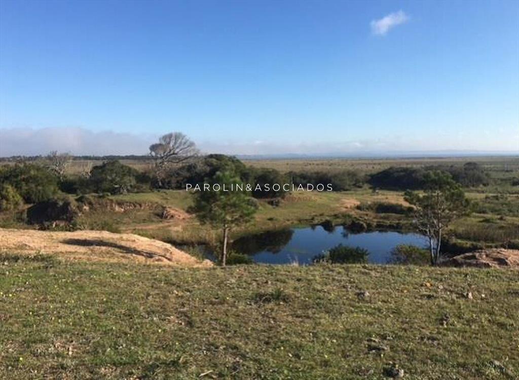 Hermosa chacra en venta en José Ignacio, Punta