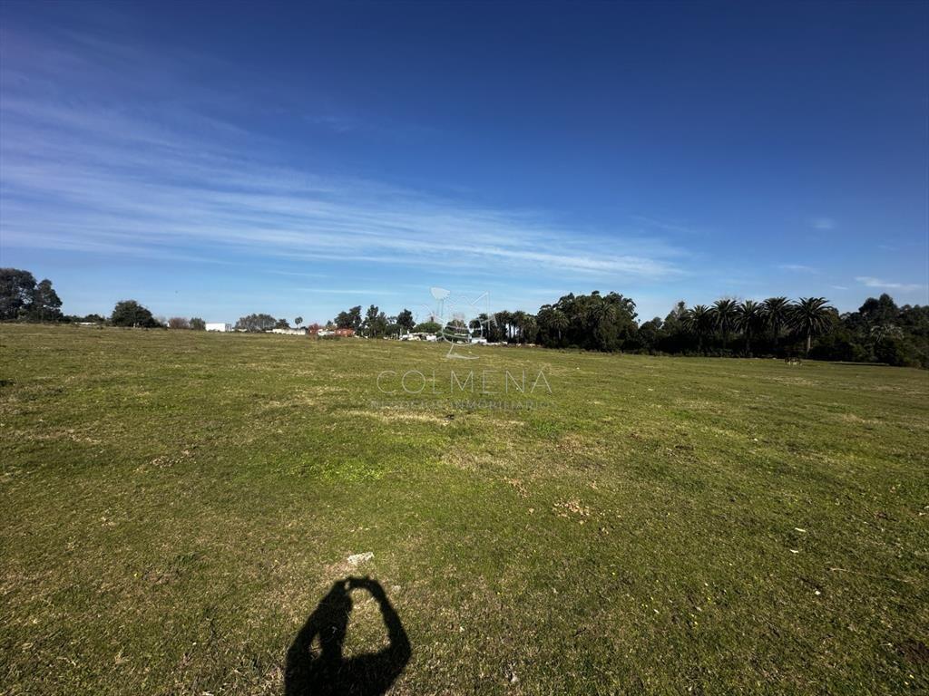 Venta lote para fraccionamiento, San Carlos