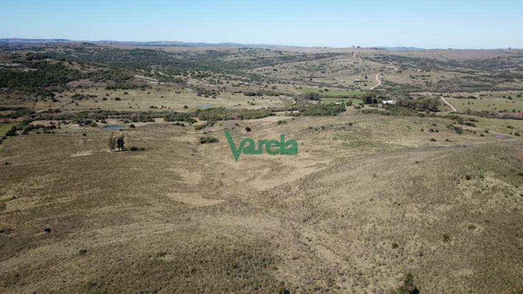 Campo de 86 has a la altura del km 58 Ruta 39