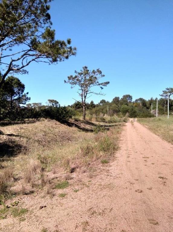 Espectacular terreno en Punta del Diablo, La Viuda 1200 m2