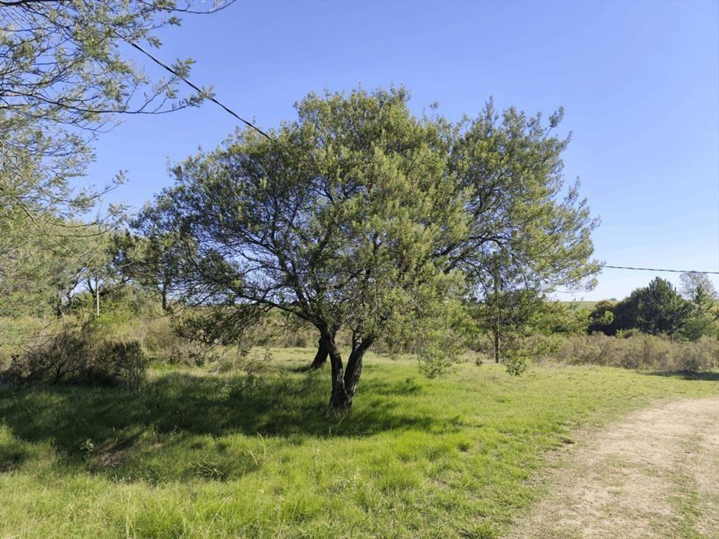 Terreno de Una Hectárea en El Ensueño - Los Aromos