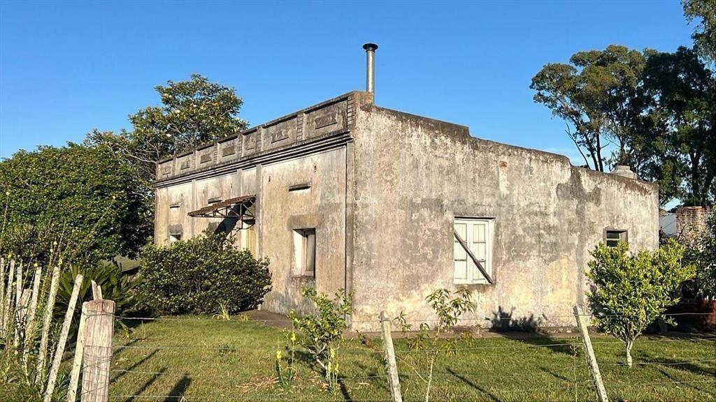 Campo Forestal Ganadero en Cerro Largo