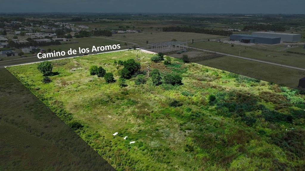 VENTA LOTE TERRENO 4HA. CAMINO DE LOS AROMOS