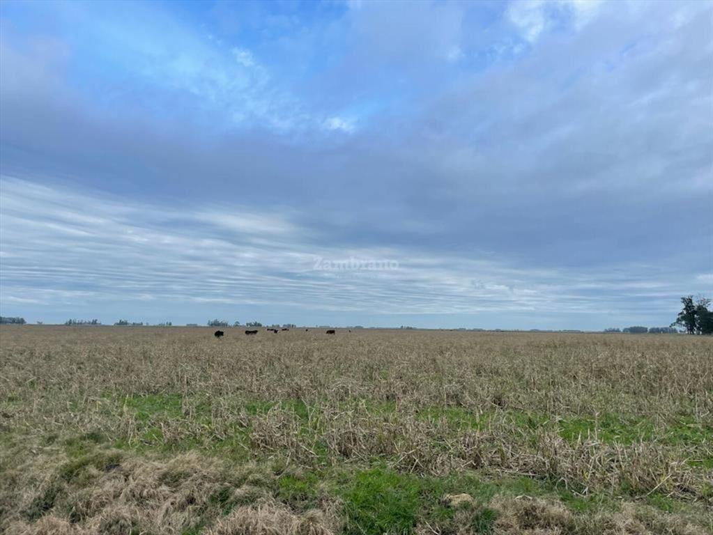 Estancia Ganadera Agrícola en Lavalleja