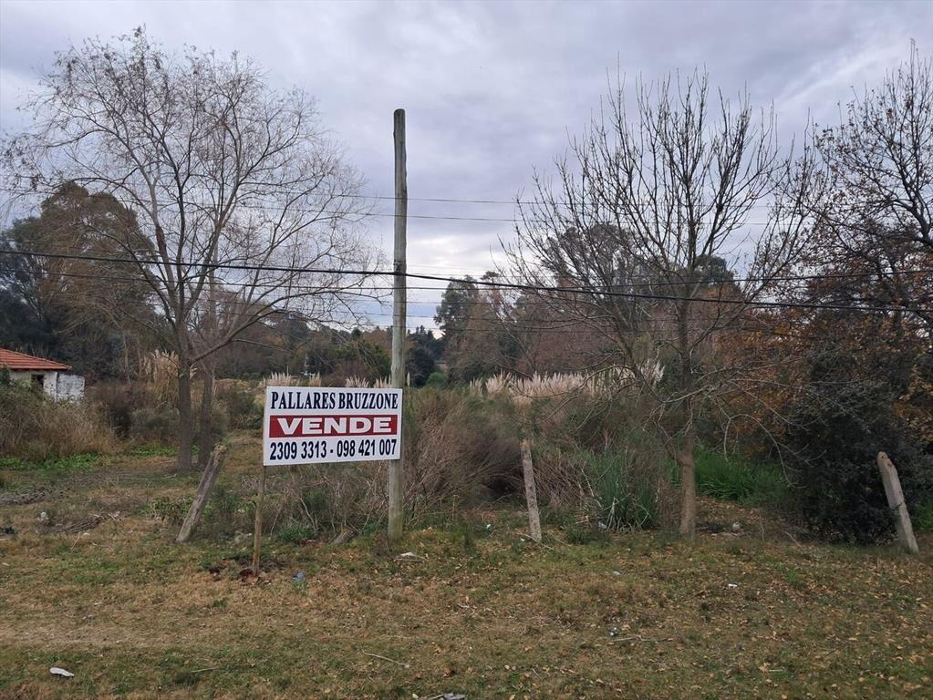 Predio sobre Ruta 102 kM 23.500 apto Logística!