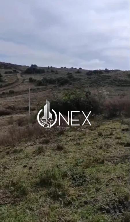 SE VENDE CHACRA DE 5 HA EN LAVALLEJA