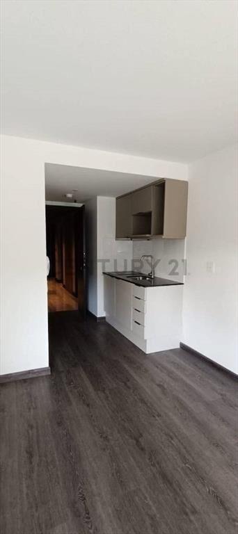 Monoambiente/Alquiler/Muy Luminoso/Moderno/Frente/Buena U...