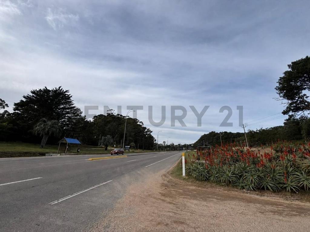 Punta Ballena sobre ruta /pegado estación  DISA /Lote 802...