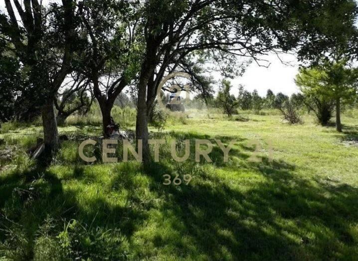 INVERSION CHACRA 6.8 HA -CON INVERNADEROS-PRODUCCION CULT...