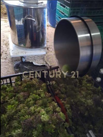 INVERSION CHACRA 6.8 HA -CON INVERNADEROS-PRODUCCION CULT...