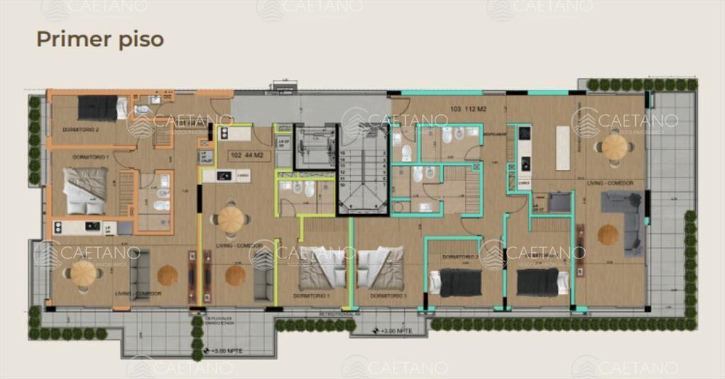 PROYECTO MODELO, nuevo lanzamiento en Punta del