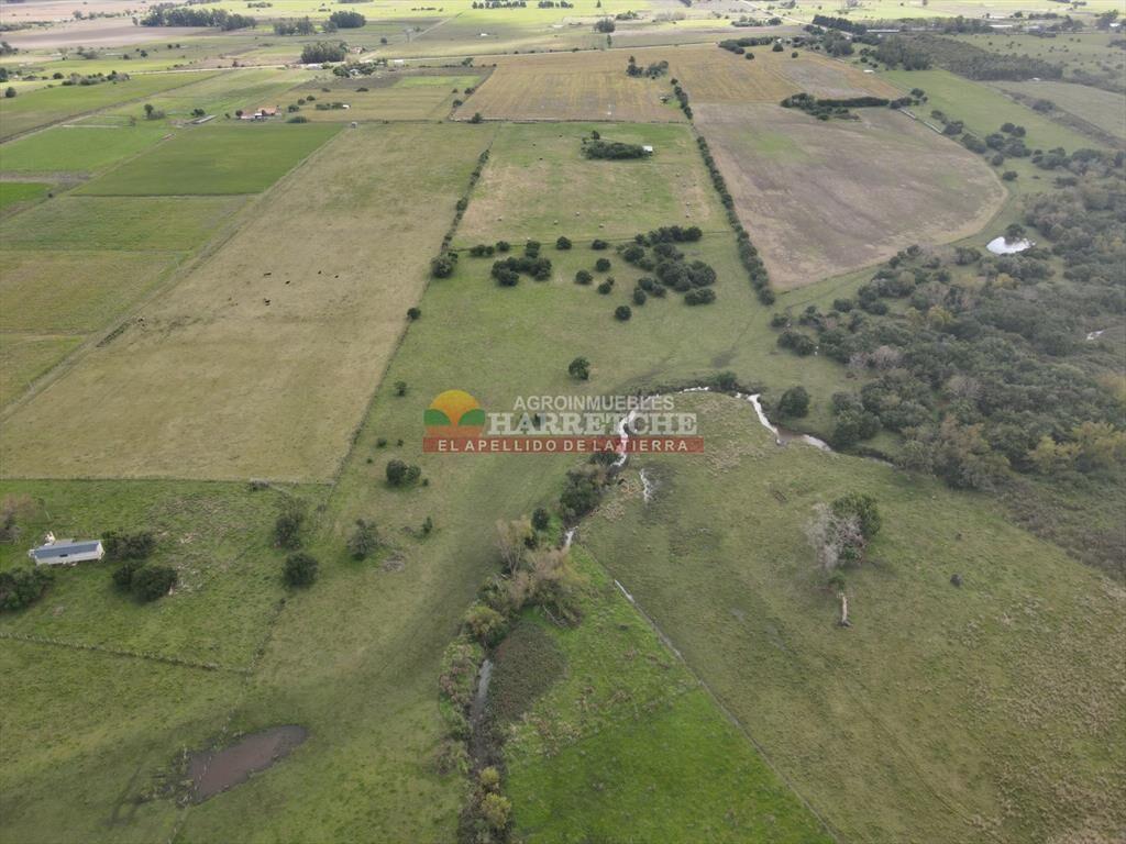 Chacra de 5 has en Los Cerrillos, cañada, muy