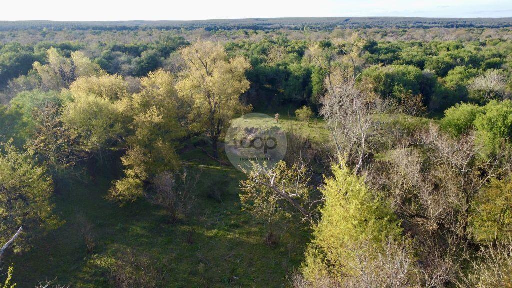 Venta de Campo en Soriano de 264ha, zona del Cololo