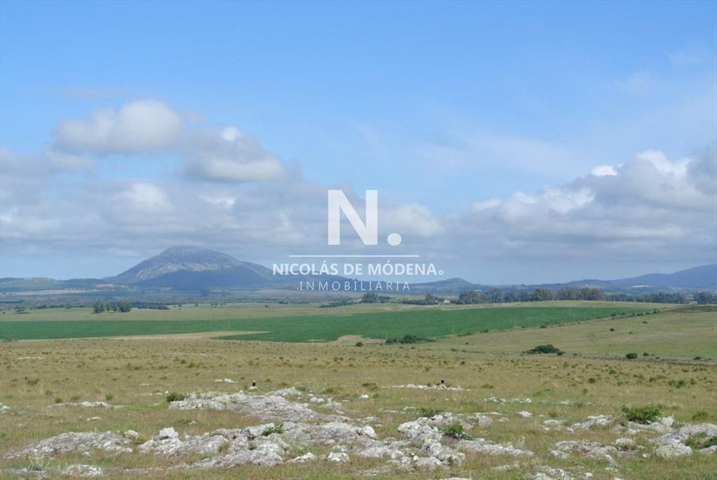 Campo en Pan de azúcar