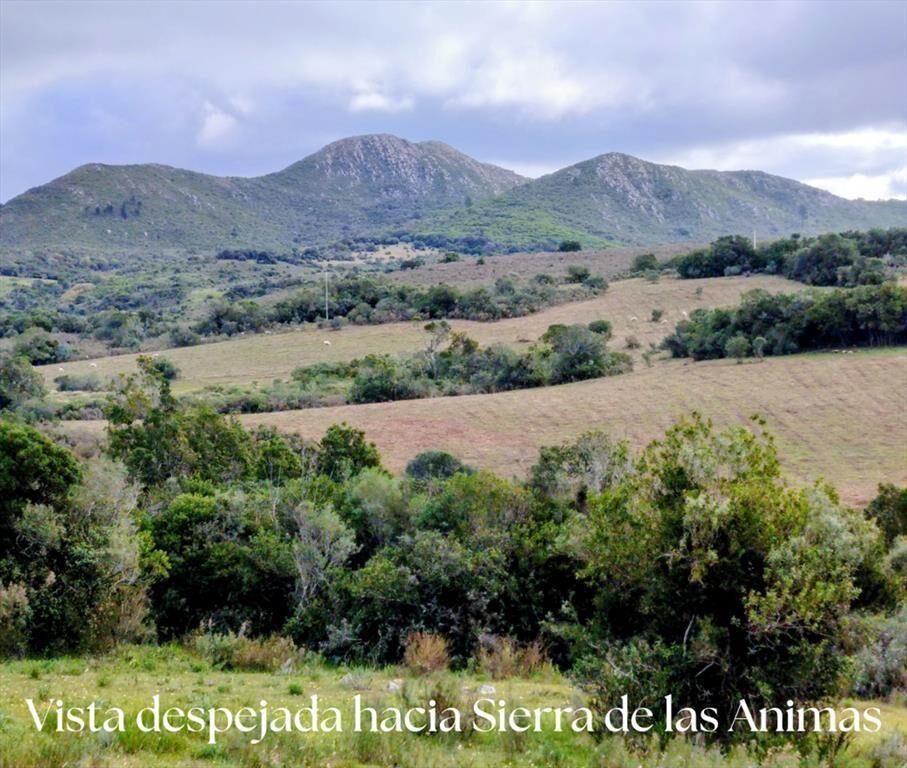 Chacra en Venta entre Ruta 12 y Ruta 60