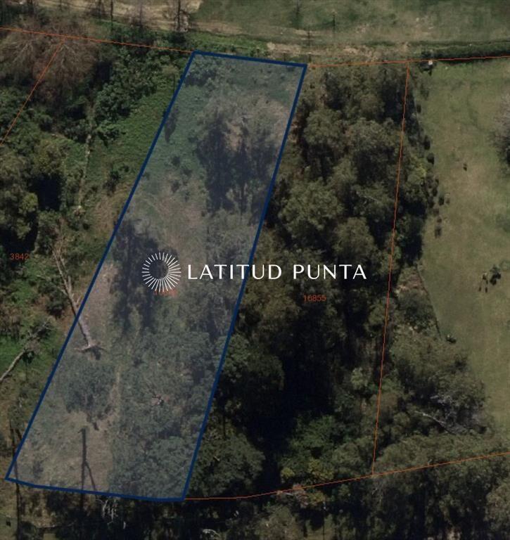Terreno de gran superficie en zona habitada todo