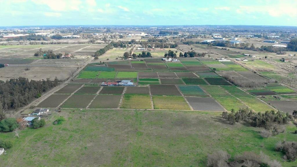 Venta campo de 7 Ha. en Camino Los Horneros