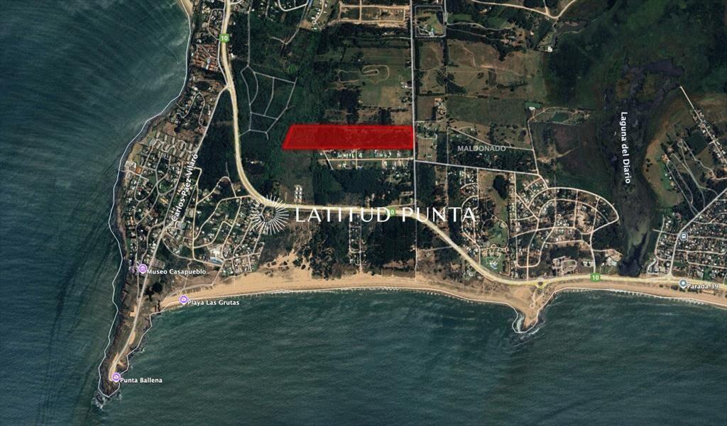Chacra en Punta Ballena