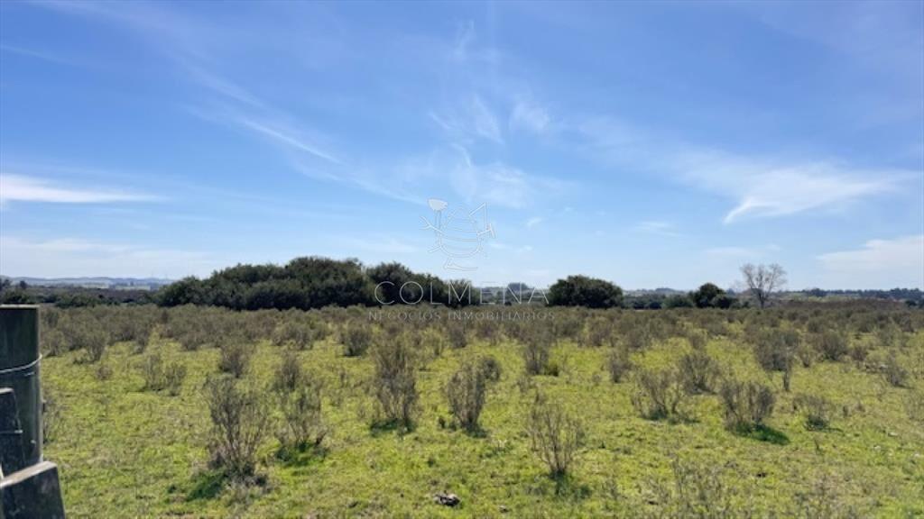 Campo 22 has con costa de arroyo ideal para