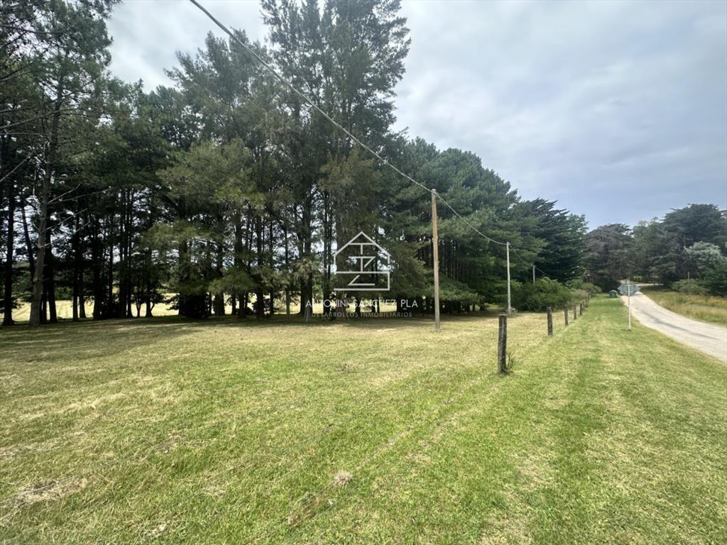 Venta chacra en punta Ballena