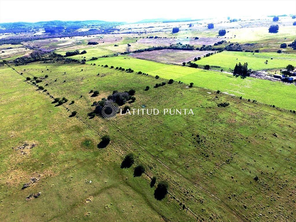 Campo de 22 has próximo a San Carlos y Punta del