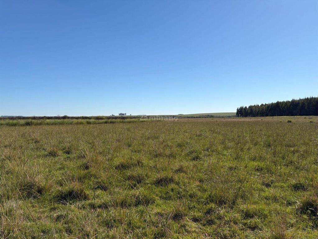 Venta Campo Durazno