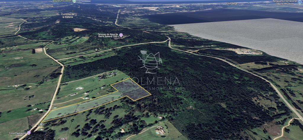Campo de 5 has con 4658 m2 en La Pataia