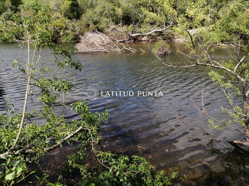 Campo de 22 has próximo a San Carlos y Punta del
