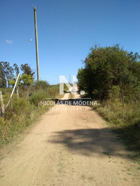 Ruta 104 zona ideal para vivir todo el año