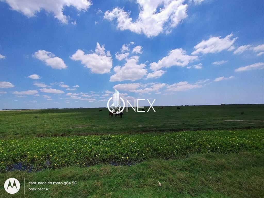 Oportunidad Venta de Campo agricola ganadero 576