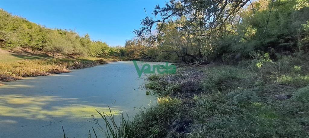 Campo 108 has. próximo a San Jacinto