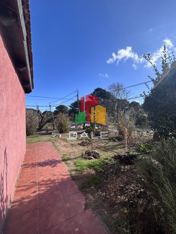 Casa en tio tom