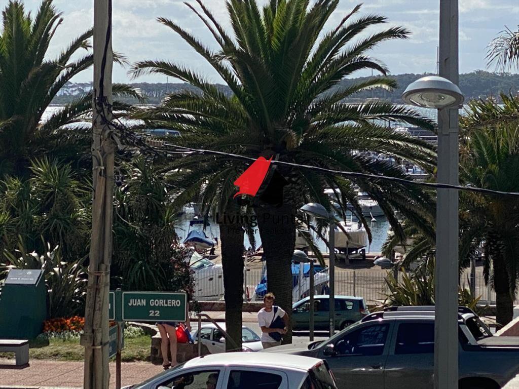 Espectacular apto para rentar en verano en Punta