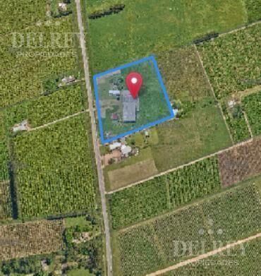 Venta/Alquiler  Local Nave Industrial - DELREY PROPIEDADES