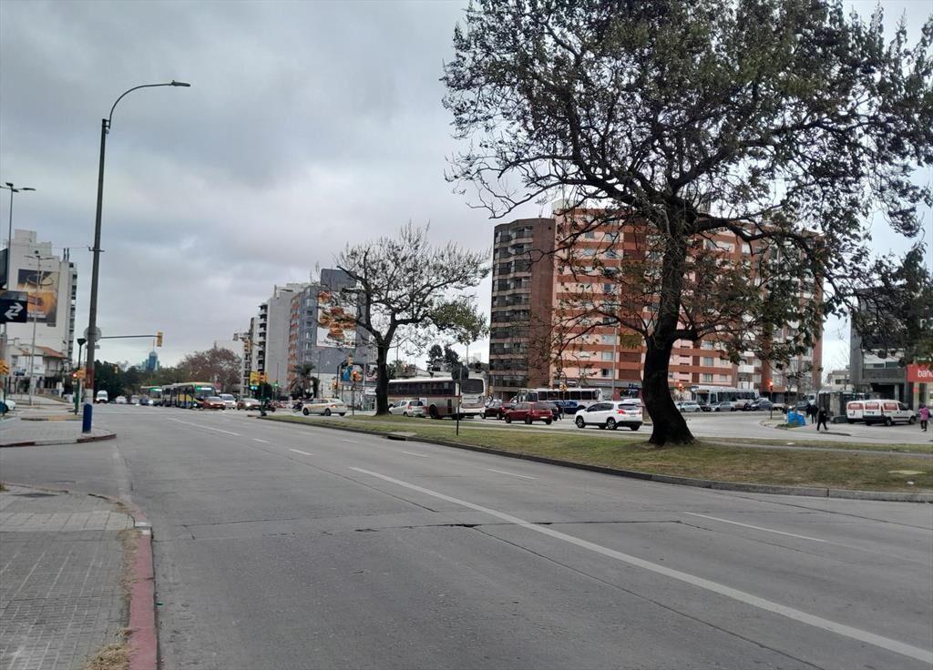 Apartamento 1 dormitorios La Blanqueada