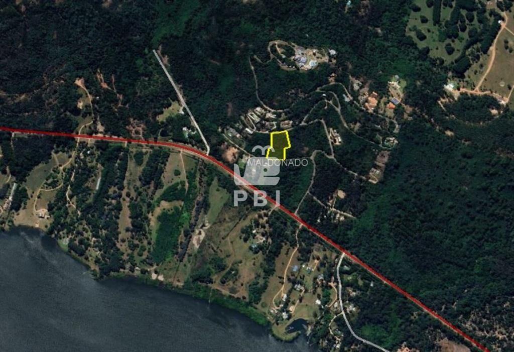 Terreno en venta en Las Cumbres, Punta Ballena  - Ref : PBI
