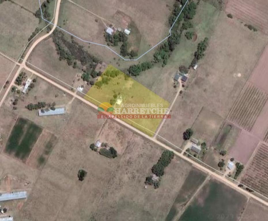 Chacra en venta Los Cerrillos, 1 has con casa de