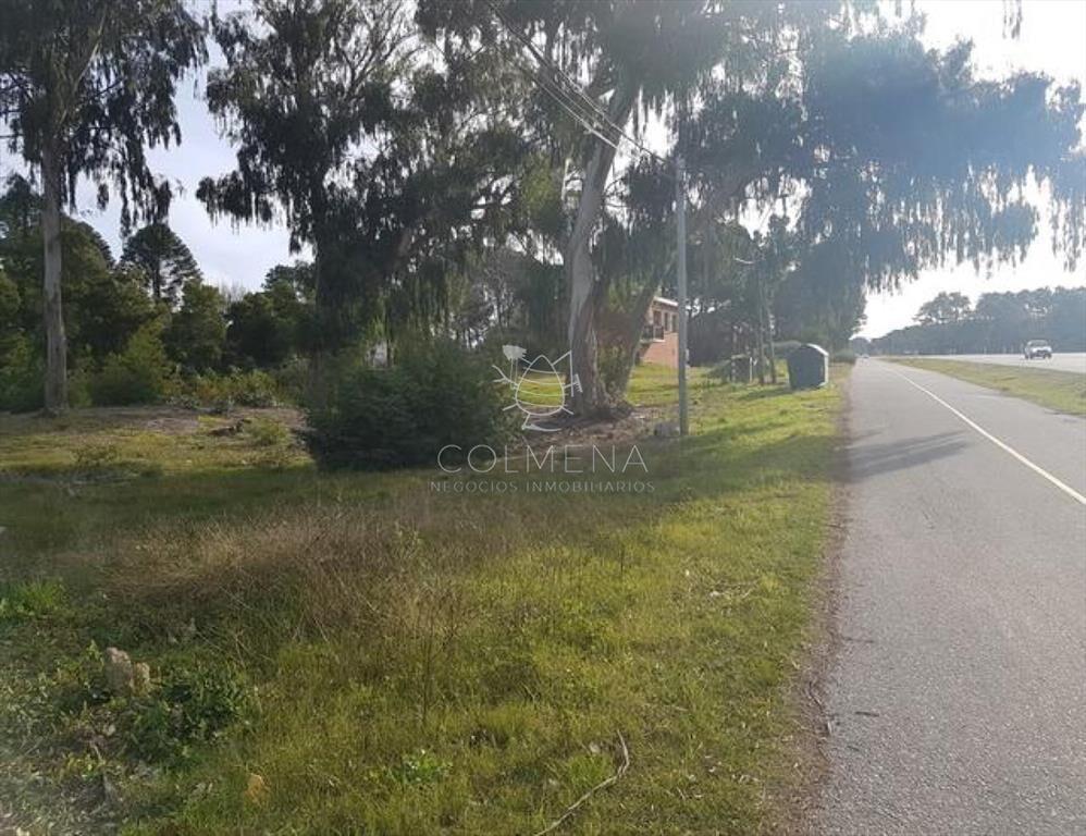 Zona de Solanas, Punta Ballena.
