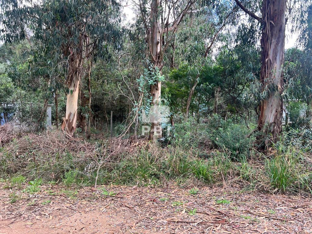 Lote en Punta Negra, Piriápolis - Ref : PBI2699