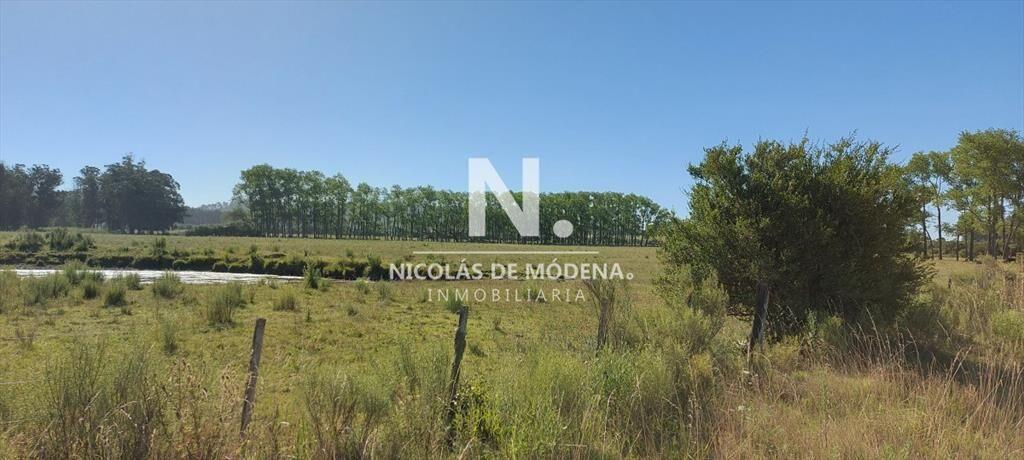Venta fracción de campo en zona La Pataia