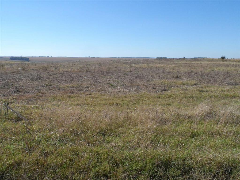 Estancia Agricola Ganadera 1600 ha en Paysandú