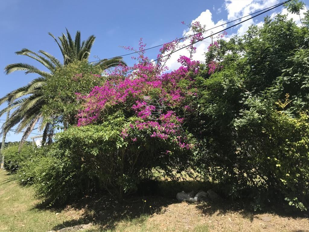 Casa en primera linea, El tesoro - La Barra