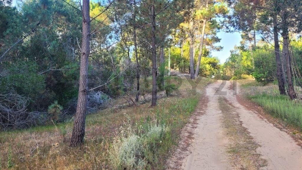 TERRENO 569 m2 La Esmeralda 4 Cuadras LA PLAYA papeles al...
